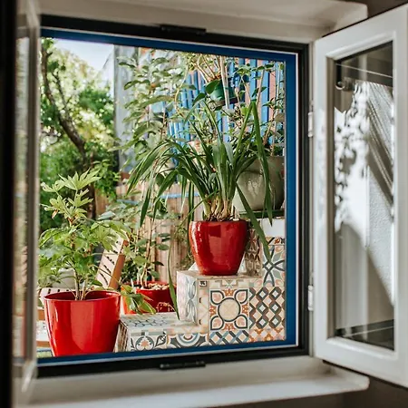 O Jardim Da Estefania